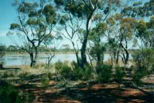 water_hole_300.JPG (10650 bytes)