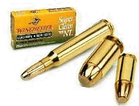 ammo1.jpg (9198 bytes)
