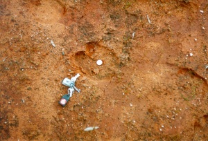 camel07_s.jpg (34119 bytes)