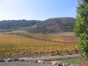 Sonoma Valley, California