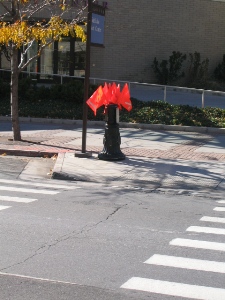 Flag Crossing, Salt Lake City