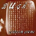 Bush 16 Stone