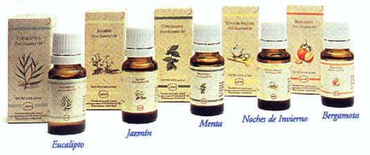 Aroma1.jpg (61535 bytes)