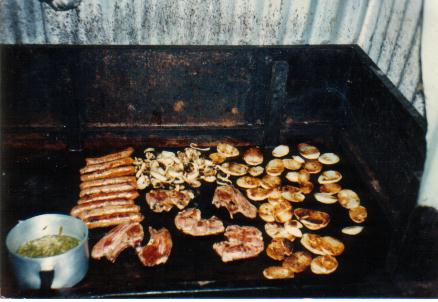 anna1.jpg (15243 bytes)