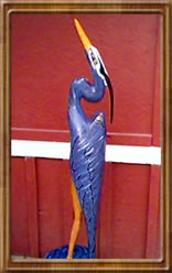 Painted Blue Heron