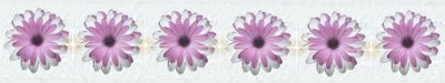  daisy bar
