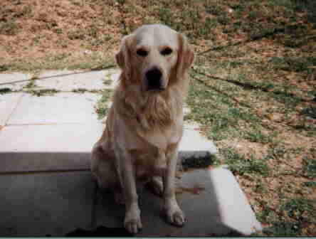 Humphry