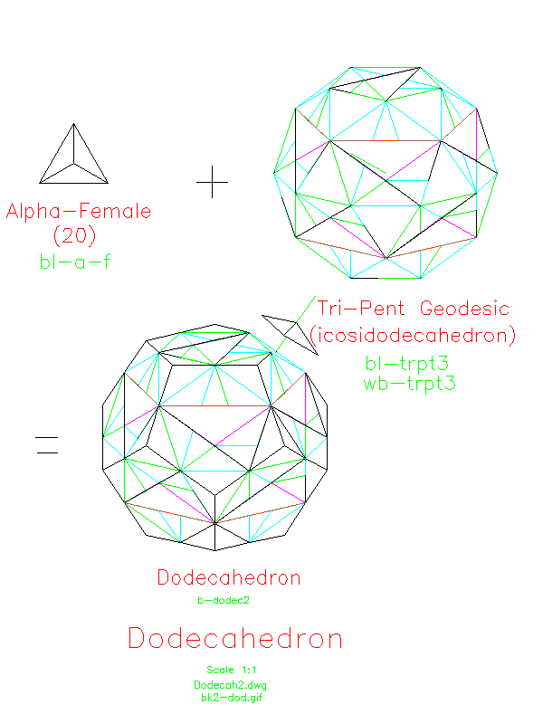 Level 2 Workbook Dodecahedron