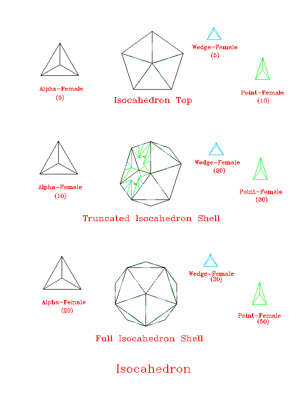 Icosahedron Compound
