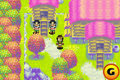 screenshot 13