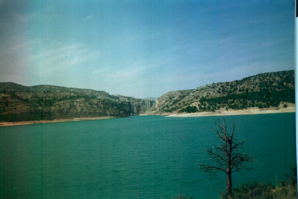 pantano.jpg (35660 octets)
