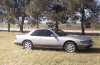 Goldie_SLR1_15.gif (141423 bytes)