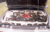 Goldie_SLR4_15.gif (123014 bytes)