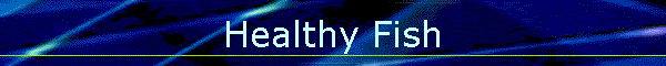 Healthy Fish