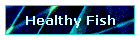 Healthy Fish