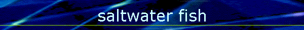 saltwater fish