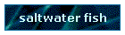saltwater fish