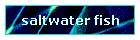 saltwater fish