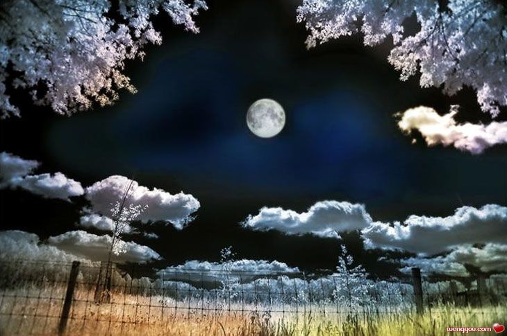 j۵M
Miracle of Nature