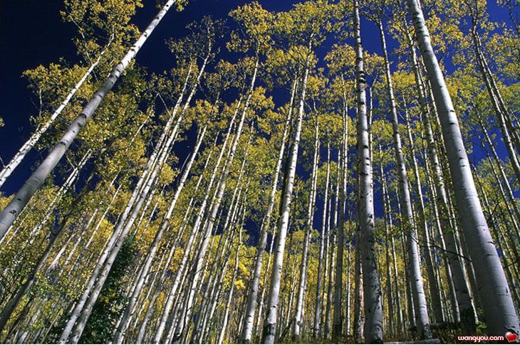 j۵M
Miracle of Nature