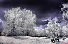 @UAijϤ
Click to enlarge 