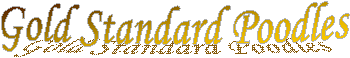 Gold Standard Poodles