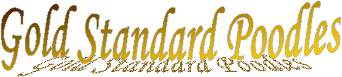 Gold Standard Poodles