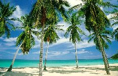 Koh Samui