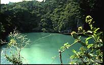 nai_sea.jpg (7240 bytes)