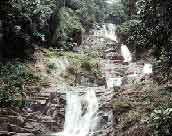 waterfakk_hinlad.jpg (4950 bytes)