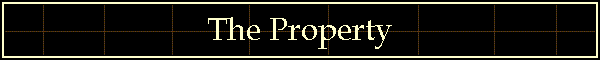 The Property