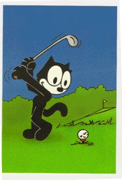 Have Fun with your Golf !