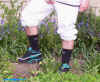 BlackGr_Airmax-Blk_Wilson_sox_02.jpg (109974 bytes)