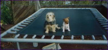 Buddy & Phoebe!!