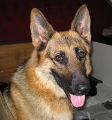 Puschka of Leeuwarden