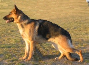 I'Mona of Leeuwarden