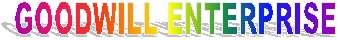 GOODWILL ENTERPRISE