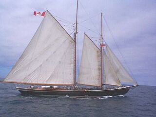 BLUENOSE