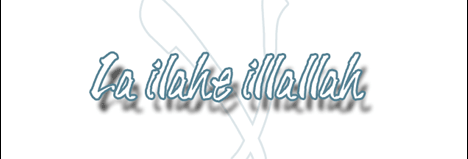 2.gif (15123 bytes)