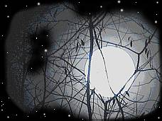 Halloween Moon 2001