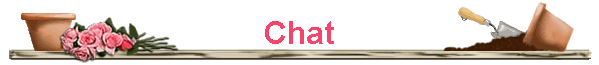 Chat