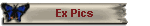 Ex Pics