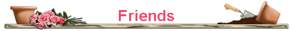 Friends