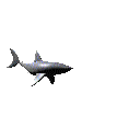 Image of gifmix_animations-56.gif