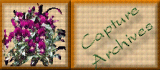 capture