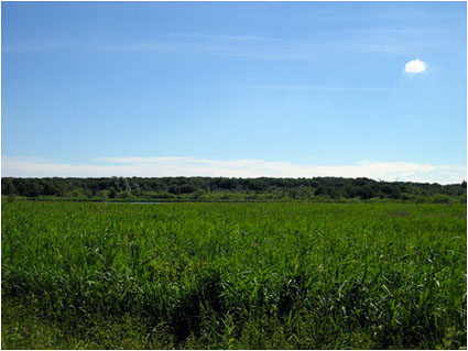 Skanderborg