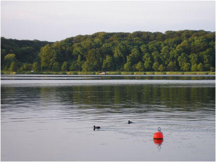 Skanderborg