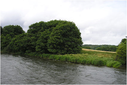 Skanderborg