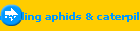 controlling aphids & caterpillars