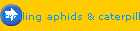 controlling aphids & caterpillars